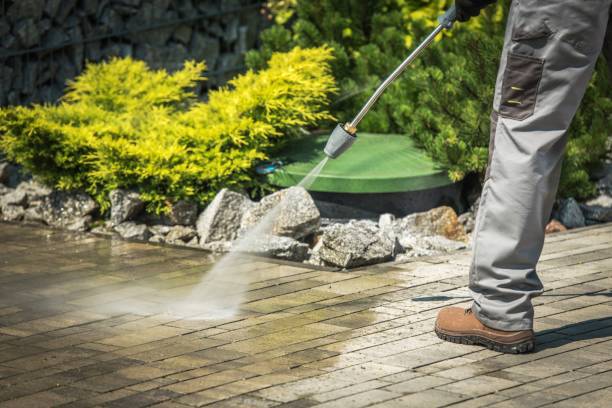 Best Vinyl Siding Pressure Washing in Plymouth, WI